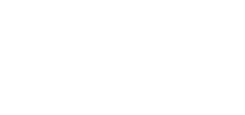www.bacchus-iz.de